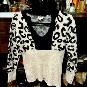 Black snd white v neck sweater